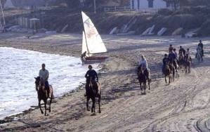 Centre équestre et Poney Club du Bel Air - Mesquer Quimiac_1