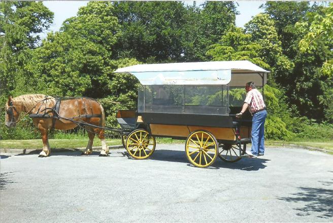 Amateurs du Cheval Breton_1