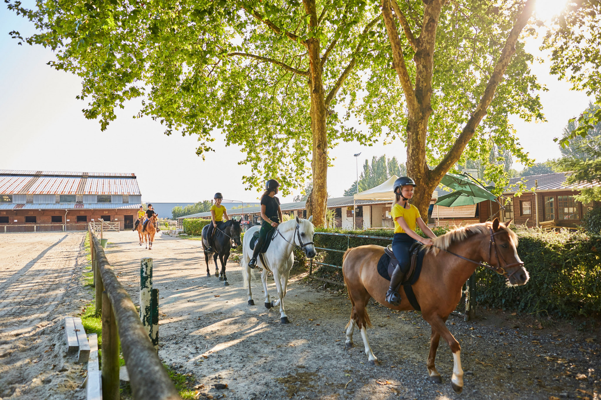 Centre équestre Manège des Platanes - La Baule_1