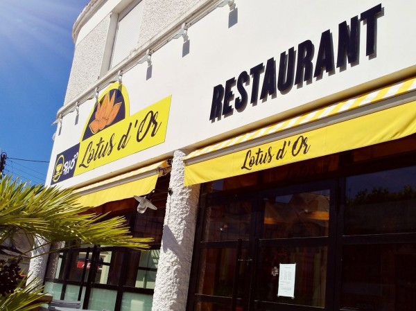 le-lotus-d-or-la-baule-1305736_1