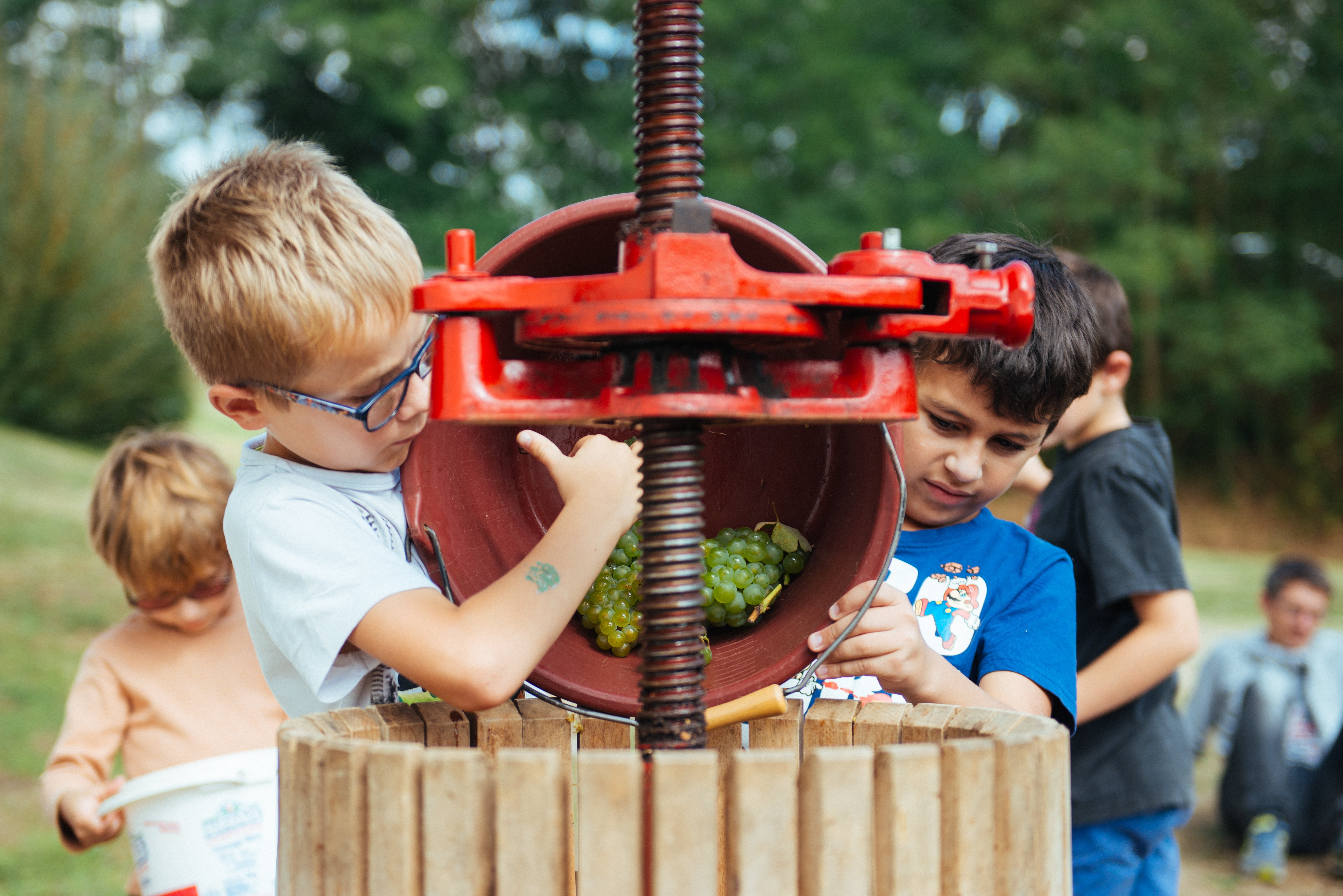 2018-degustation-musee-vignoble-nantais-pallet-44-levignobledenantes-tourisme