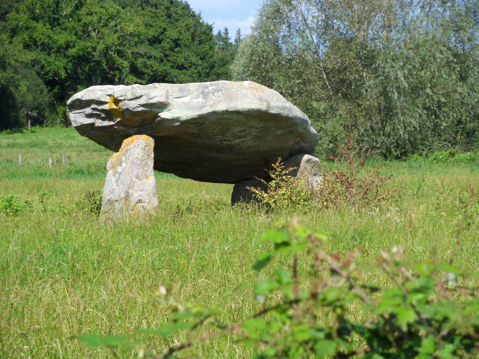 dolmen de la roche aux loups_1