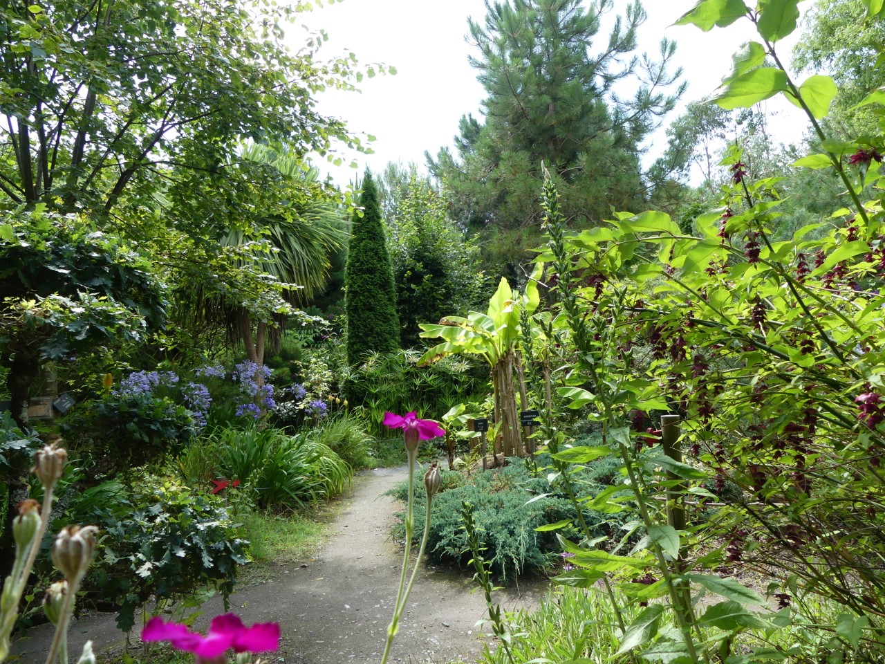 01 - Tropicarium Bonsai La Baule_1