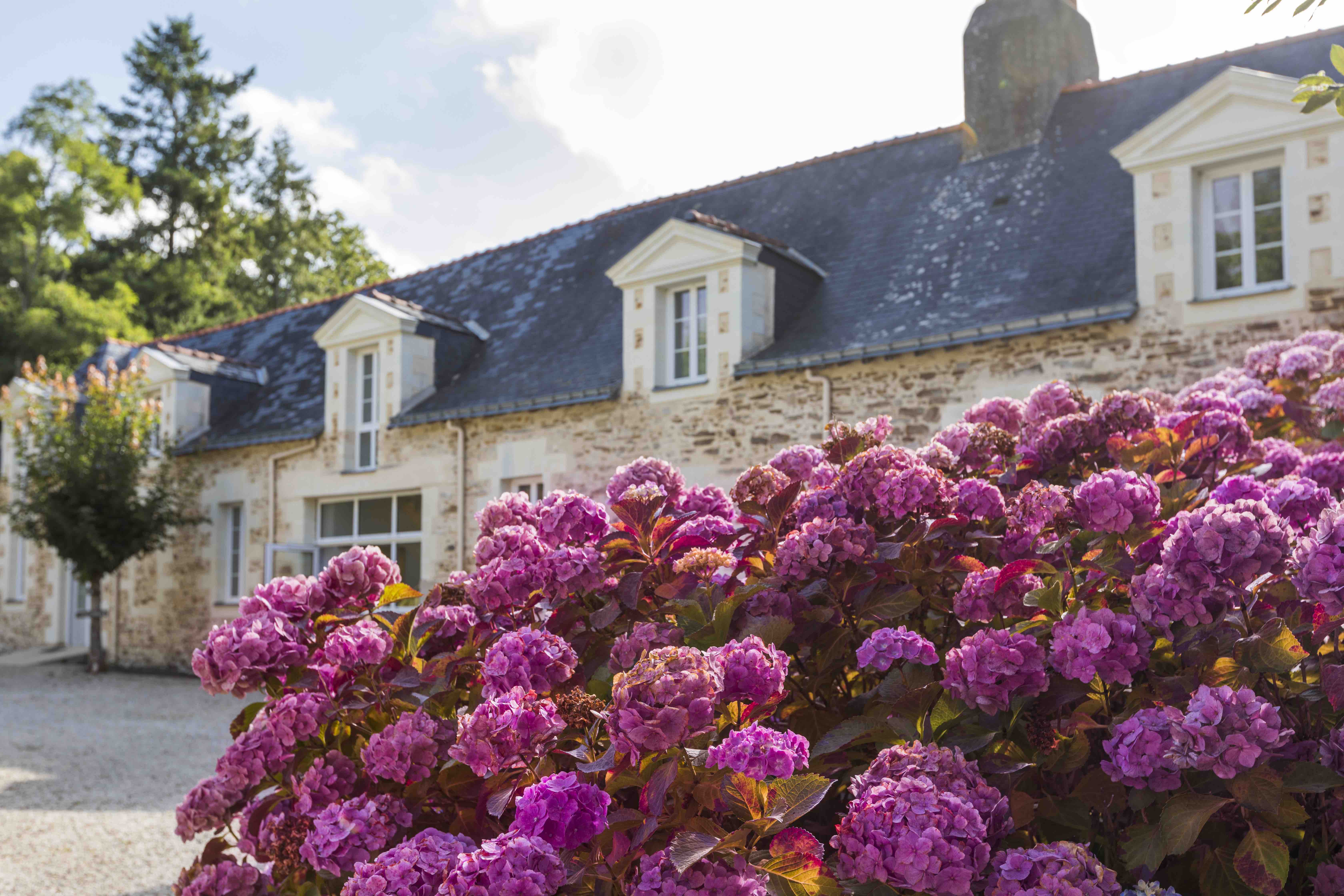 Cour du Domaine