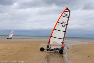 f44cdm24-2-11288_1