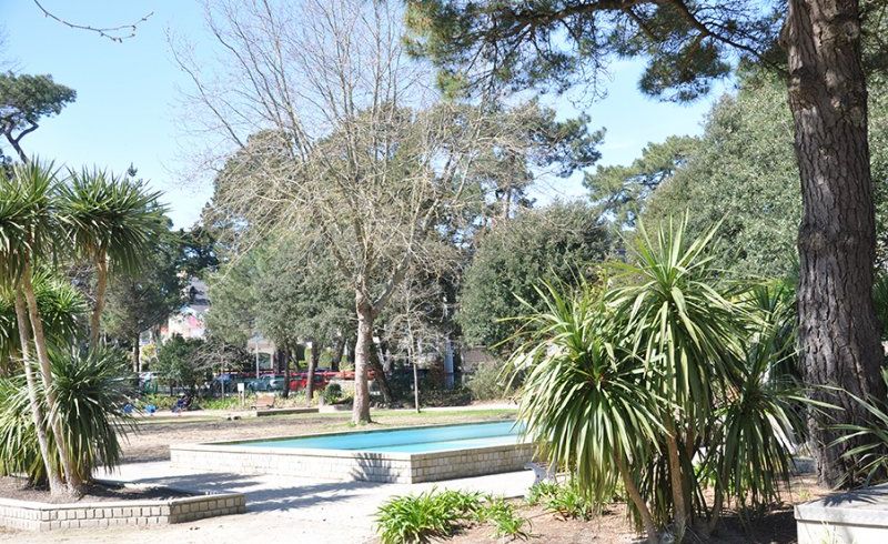 bois-des-aulnes-1709271_1