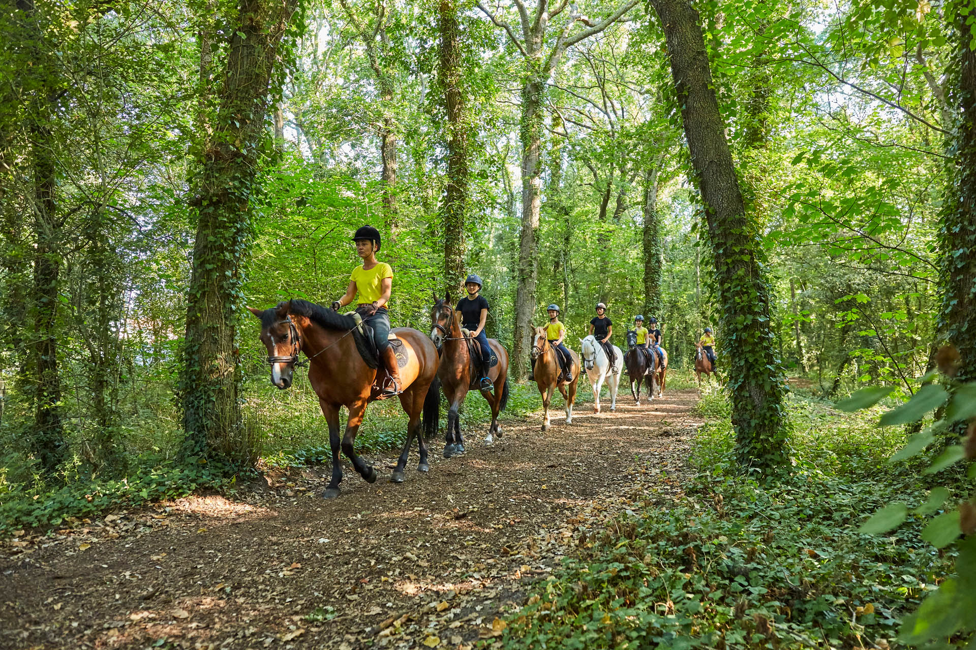 La Baule les pins - Forêt d'Escoublac - équitation_1
