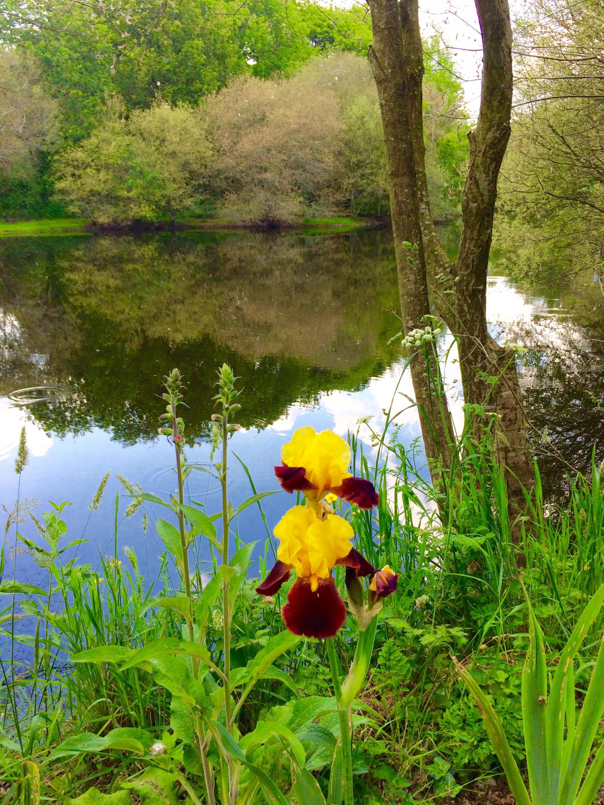 Les Chemins d'Eléonore - Herbignac_1