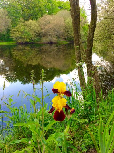 Les Chemins d'Eléonore - Herbignac_1