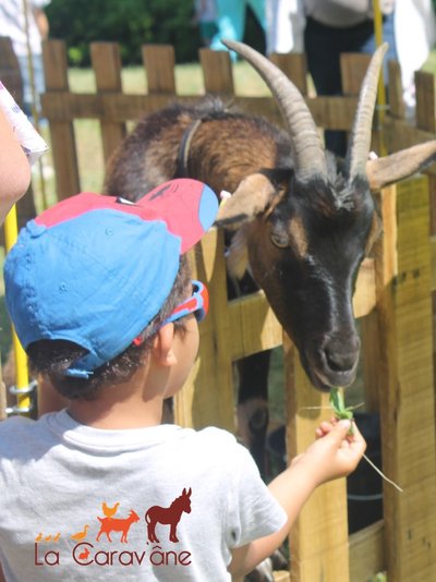 Ferme la Carav'âne _1