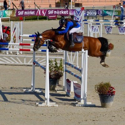 Les Écuries de Manaurer - Herbignac_1