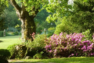 jardins-kermoureau-herbignac-fleurs-arbres_1