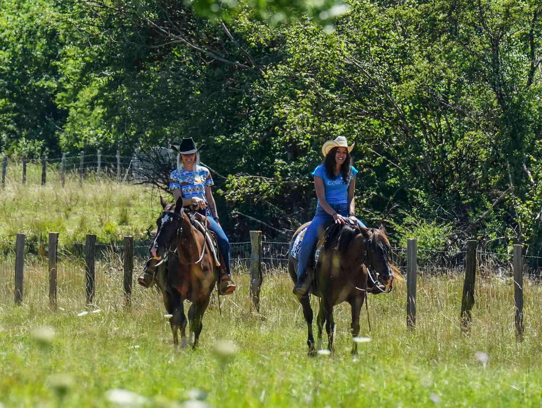 Terres Alezanes - centre équestre à Ste Anne sur Brivet_1