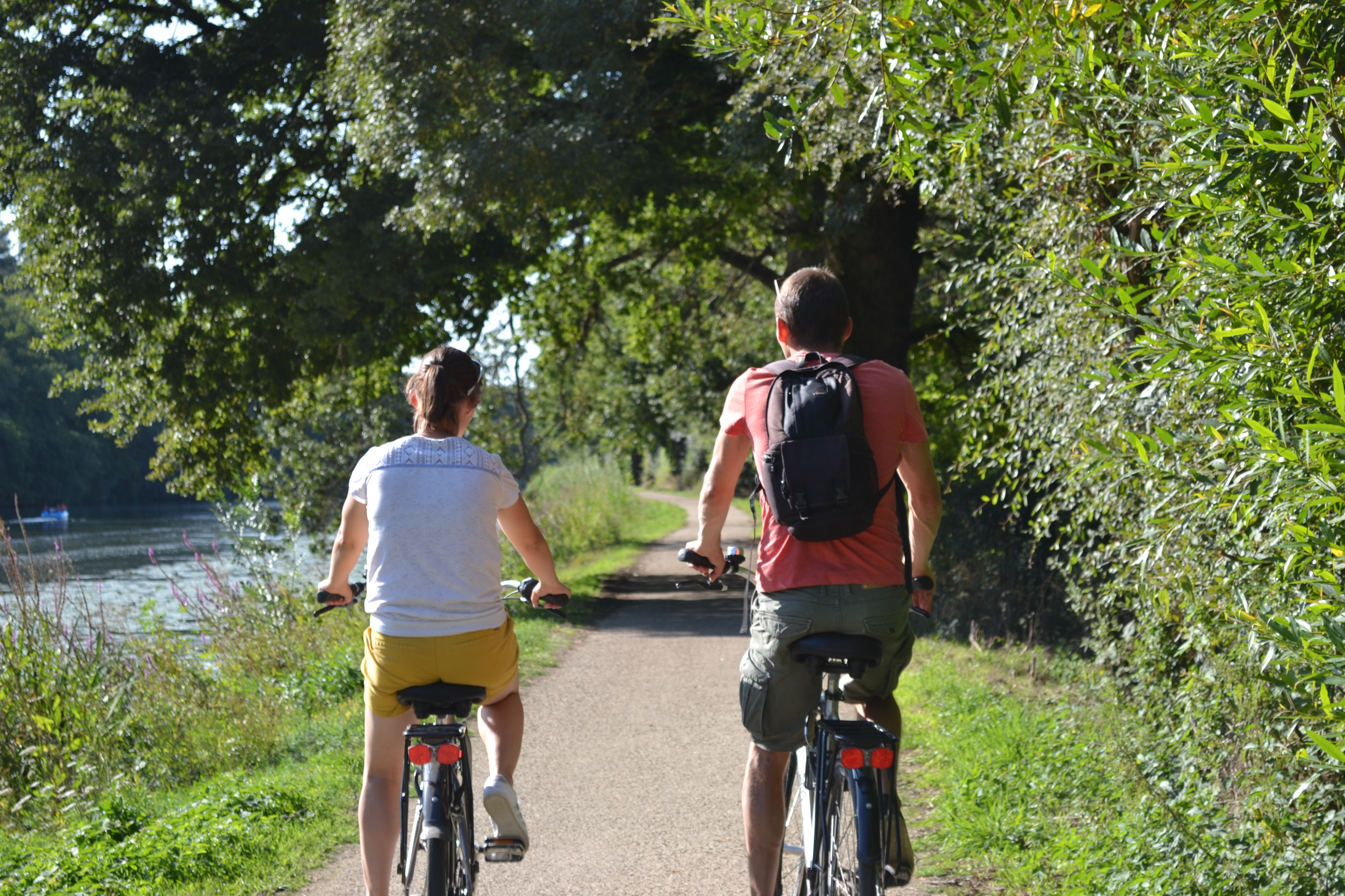 Location de vélos _1