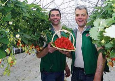 Burban - Spécialité Locale - La Baule_1