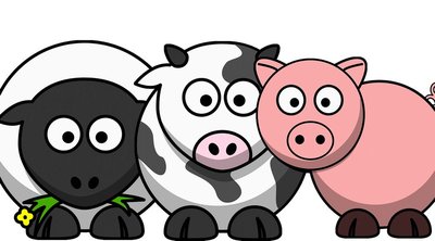 La Ferme de Kervy - Saint-Lyphard_1