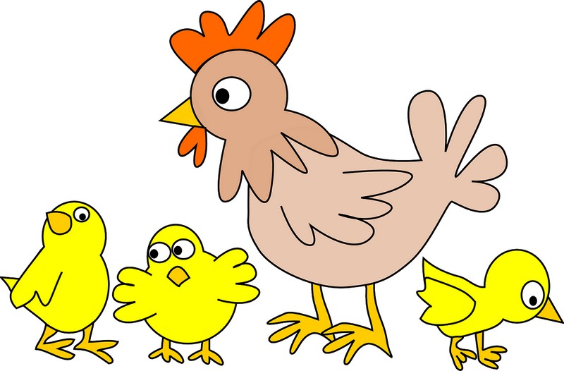 La Ferme du Clos des Bruyères - Herbignac_1