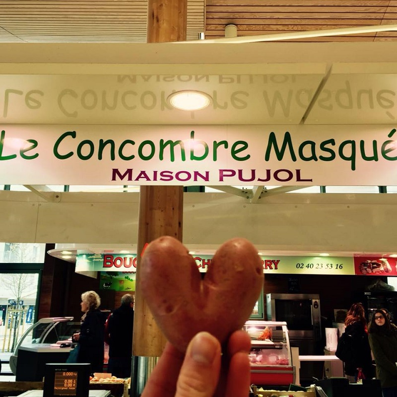 Maison Pujol - Le Pouliguen - Office de Tourisme La Baule Presqu'île de Guérande _1