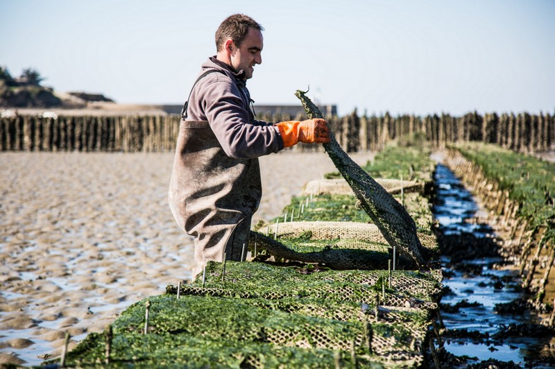 romain-fohanno-romain-fohanno-1215666_1