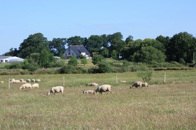 Ferme de Bel Air à Guenrouet - canal de Nantes à Brest_1
