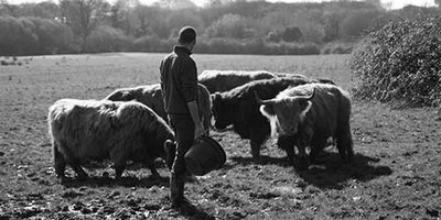 Pâturage la ferme du grand large Assérac Brière_1