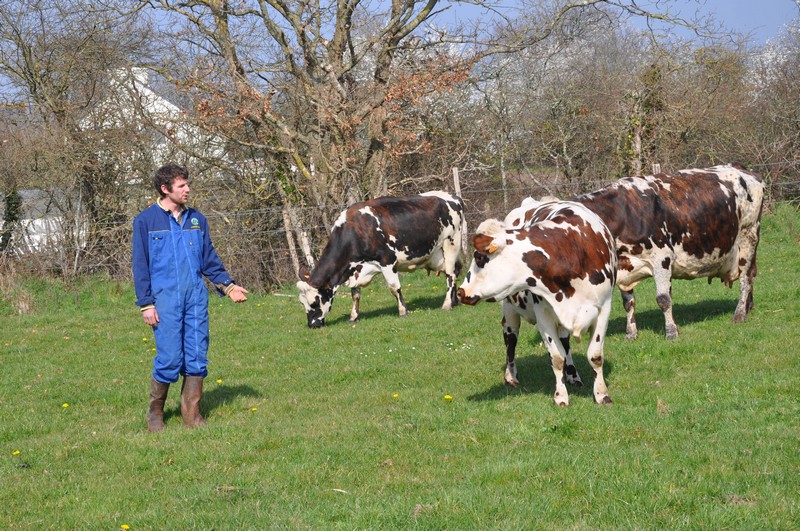 Ferme de la Pâture - Guérande_1