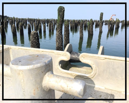 EURL Jannot - Saint-Molf_1