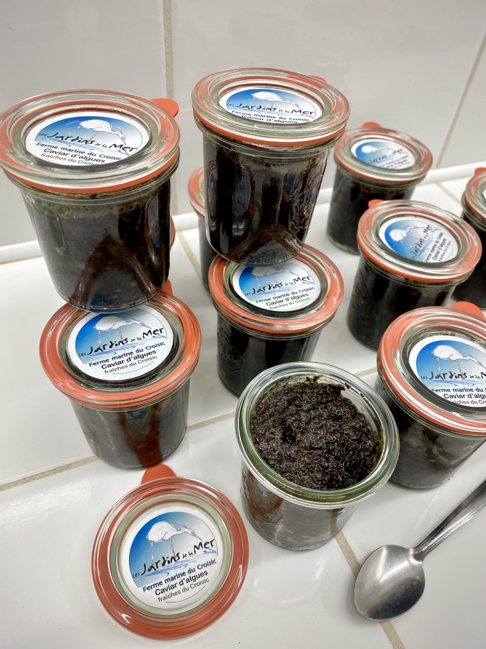 Les Jardins de la Mer - Le Croisic_1