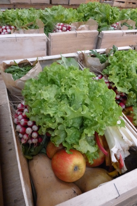 Les jardins de St Gildas_1