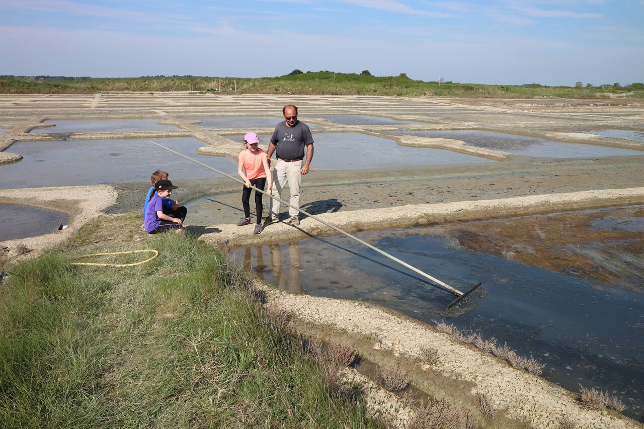 le Paludier- Nicolas Arnould St Molf_1