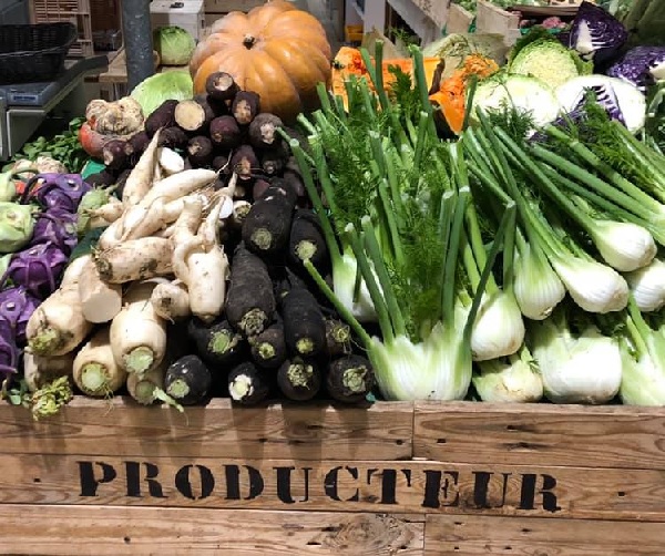 SCEA GUENO Maraîcher - Saint-Lyphard_1