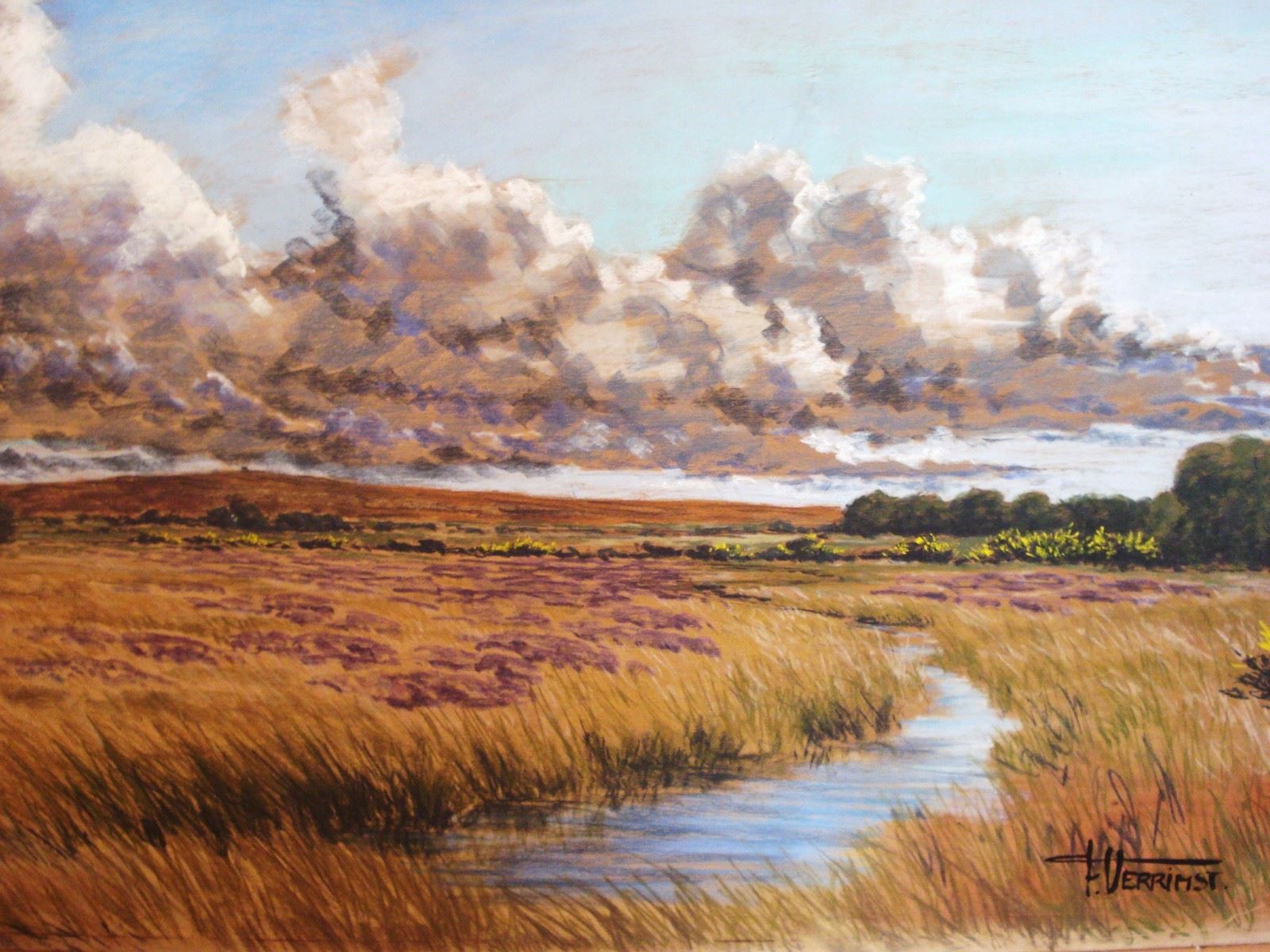 Artiste peintre-Francois-Verrimst-Nature - Guérande intra-muros_1