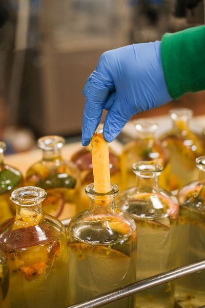 paulinphotographe-ticed-09-30776_1