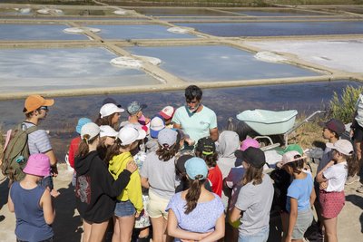La Saline de Beauregard - Laurent Retailleau - Marais salants du Mès - Assérac_1