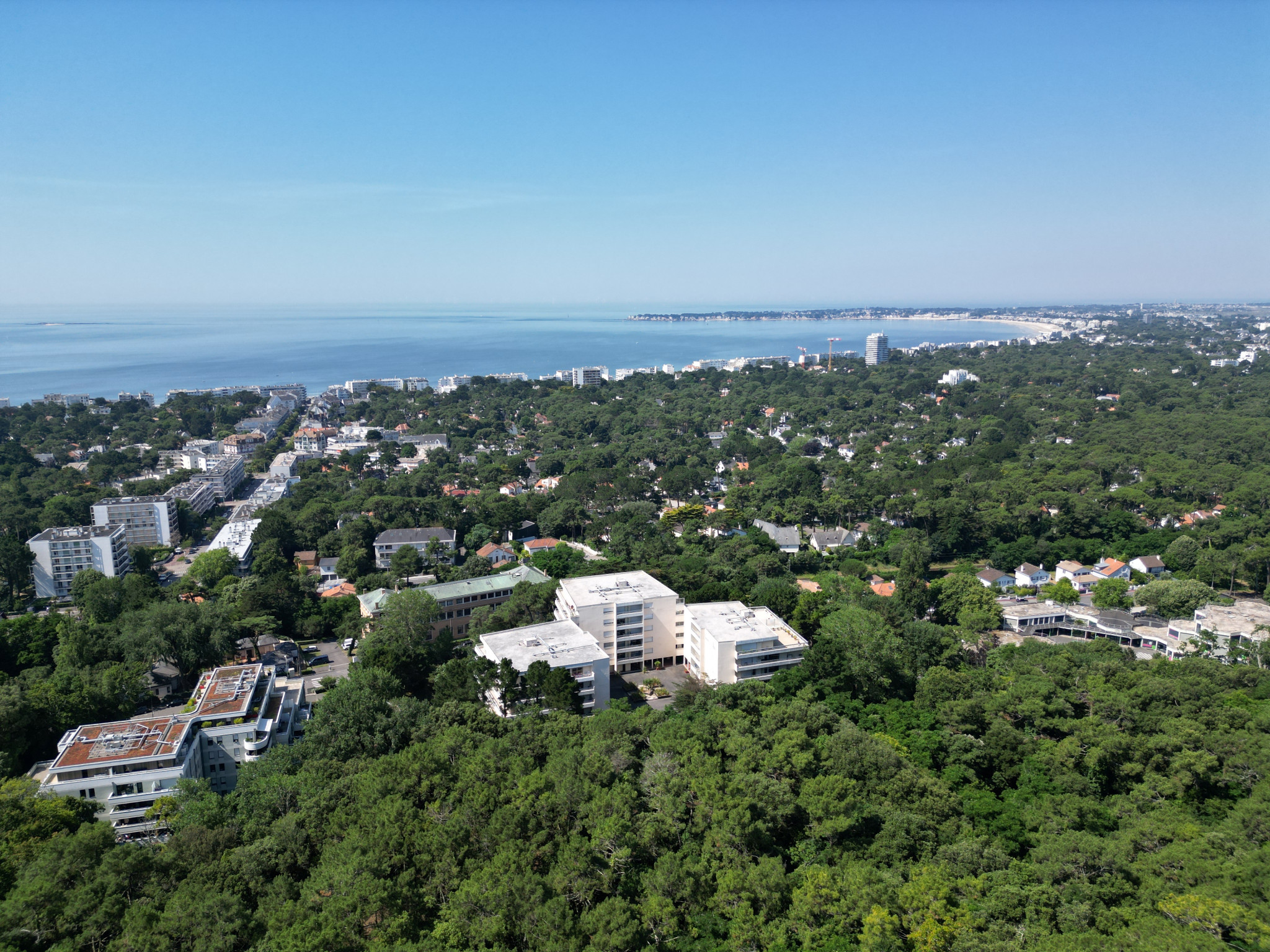 Histoire Dune Forêt La Baule _1