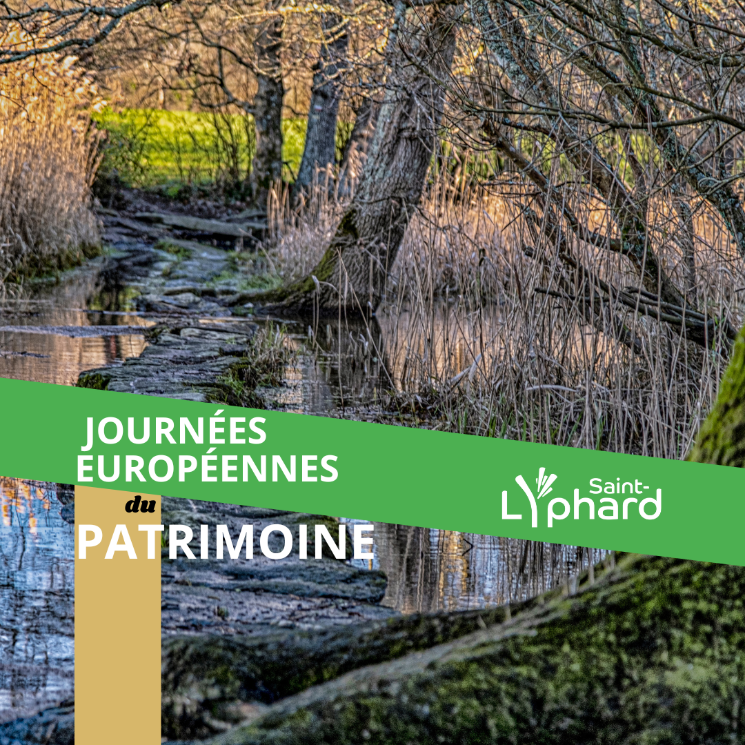 JEP ST LYPHARD - Visitez le Pont de Gras_1