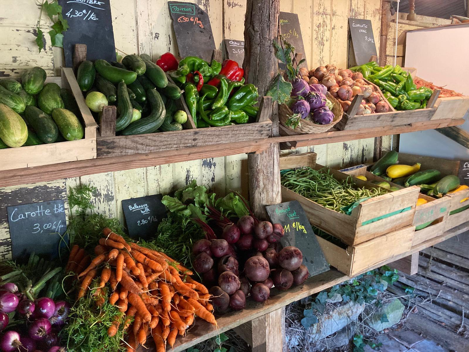 Les Jardins de Kerpondarmes - Guérande_1