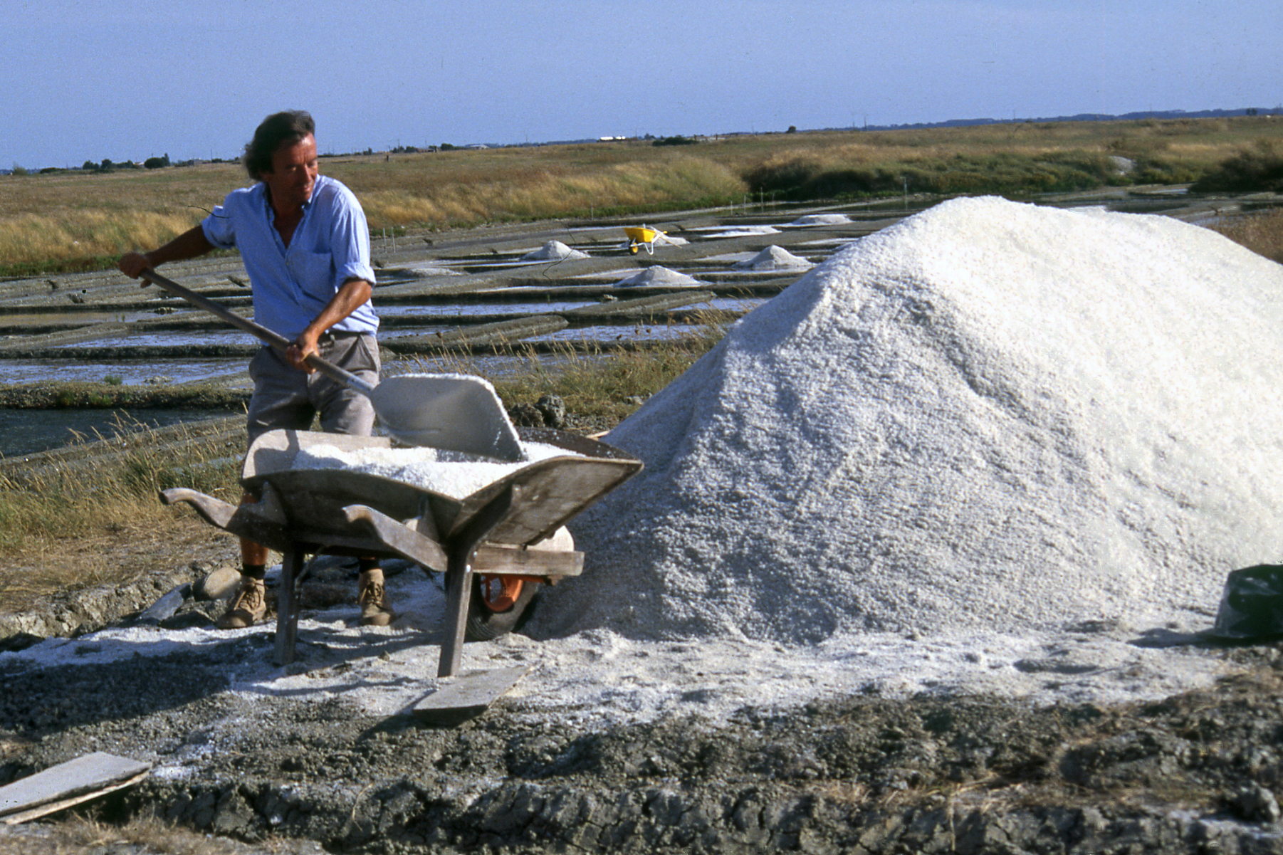 Daniel Robard, paludier récoltant le Sel de Bourgneuf-en-Retz_1
