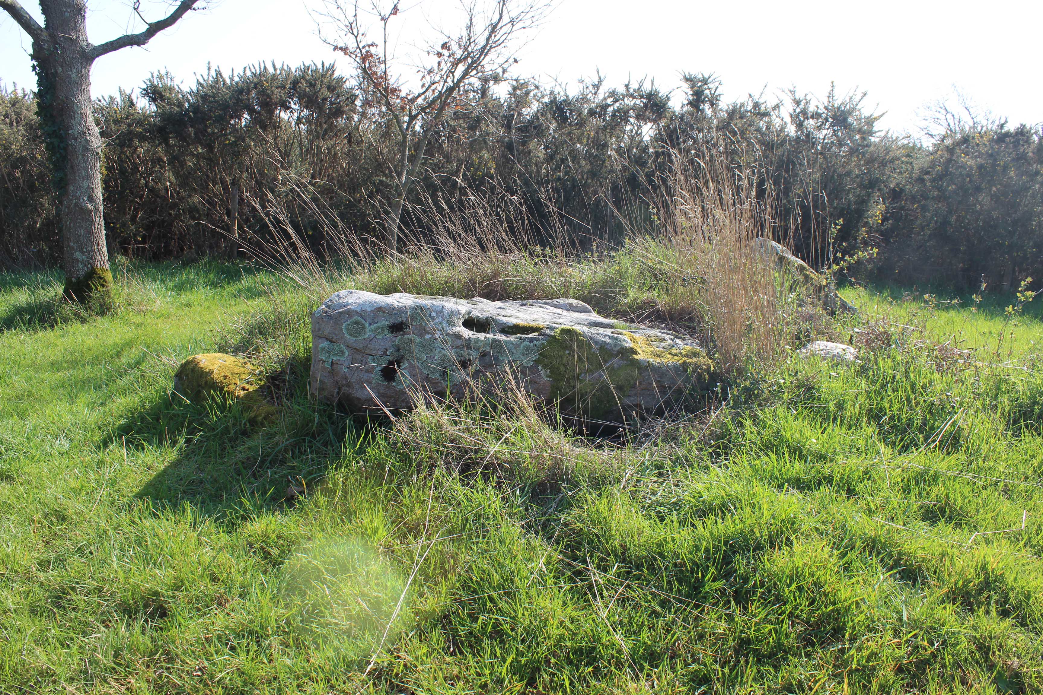 dolmen-de-la-briordais-1-2521_1