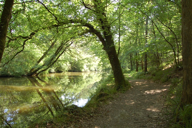 Vallée du Don - Guémené-Penfao_1