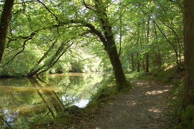 Vallée du Don - Guémené-Penfao_1