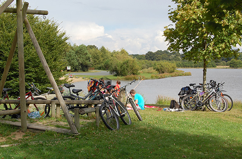 Etang de Buhel - Plessé_1