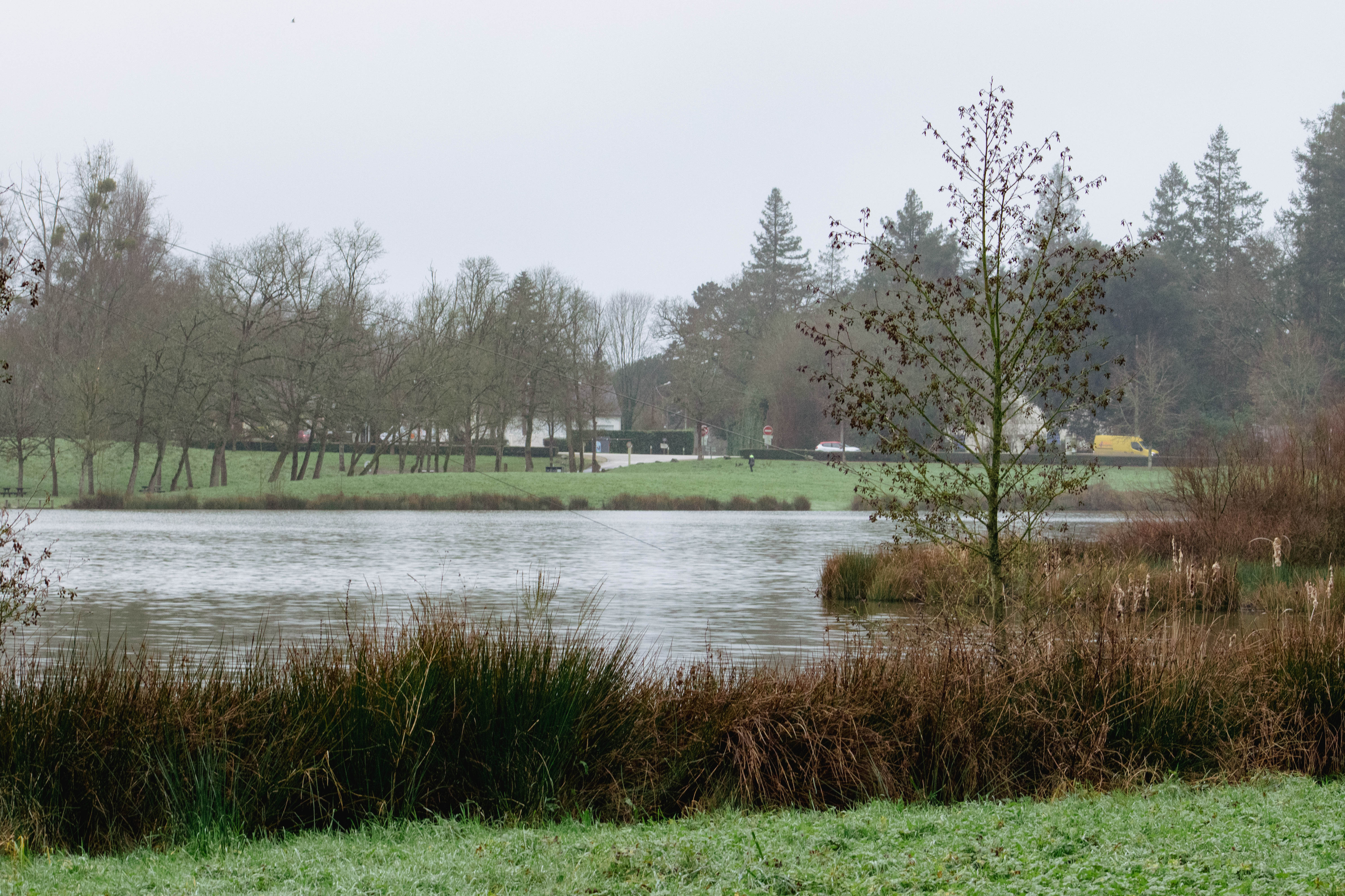 PLESSE - Étang de Buhel - Bauthamy Madoline (8)_1