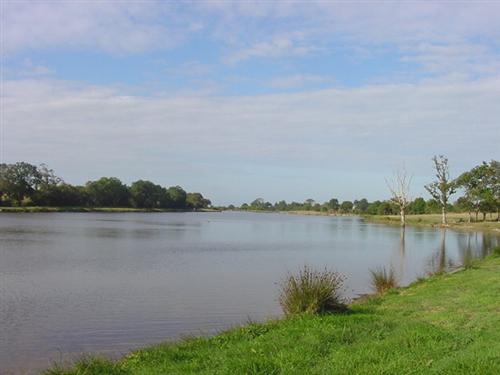 Etang de la Beusse_1