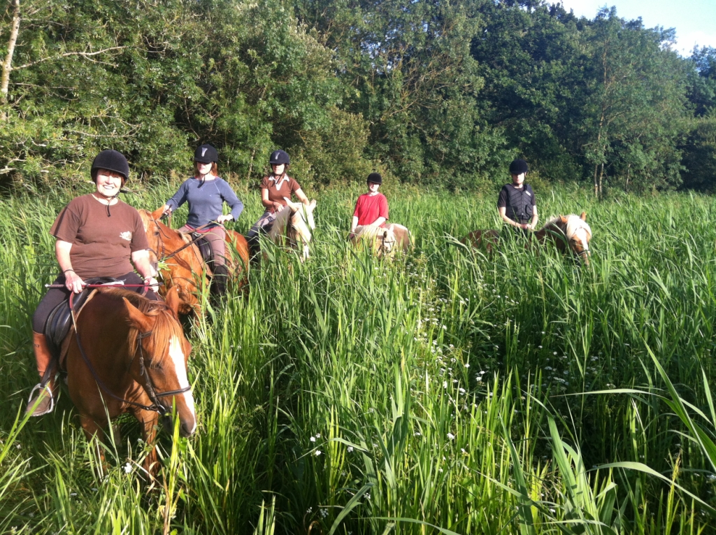 centre-equestre-roseaux-de- goulaine-haute-goulaine-44-LOI (1)