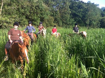 centre-equestre-roseaux-de- goulaine-haute-goulaine-44-LOI (1)