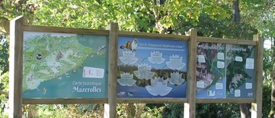 45390872_705386773179755_7194072630276653056_n