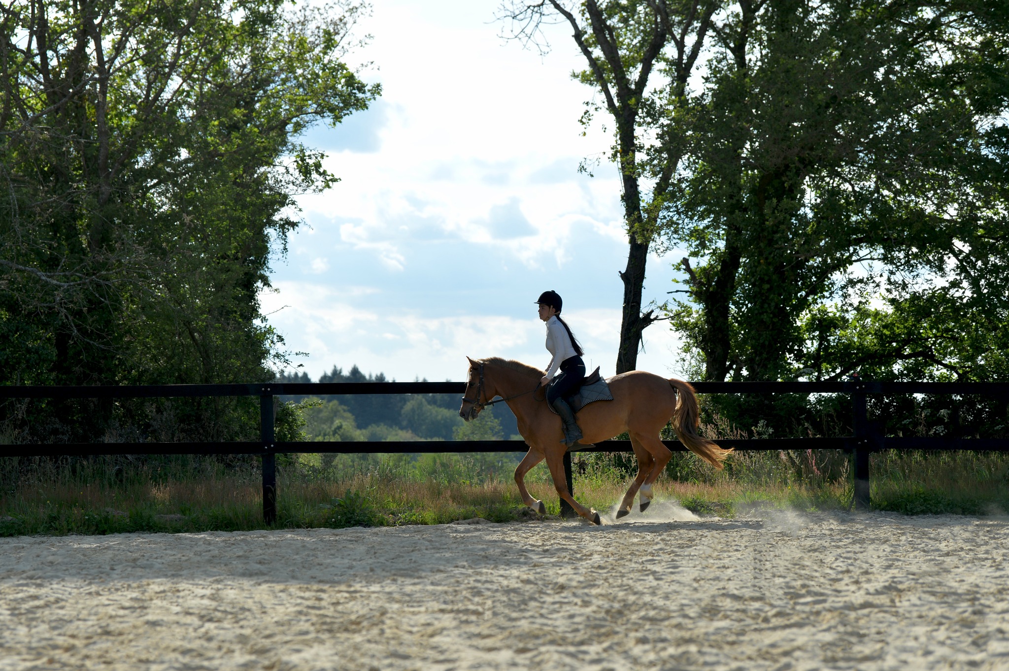 lesjoulairesEcuries2