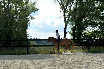 lesjoulairesEcuries2