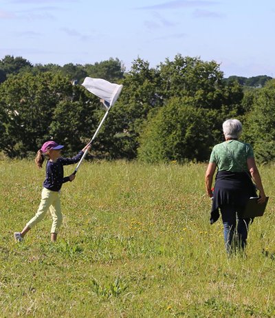 Animation découverte des papillons à Mesquer-Quimiac_1